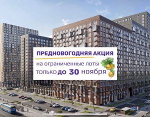 Предновогодняя акция!